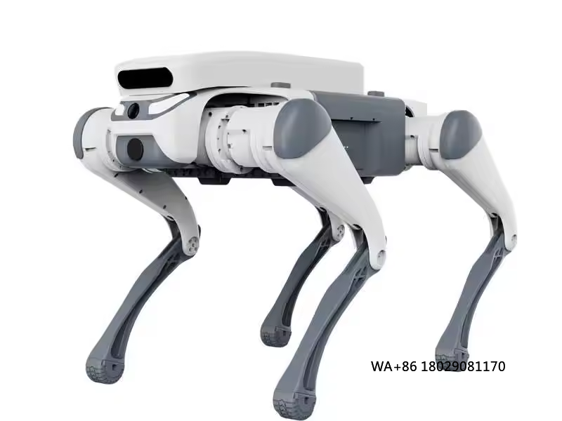 Remote Control Toys - Jouet éducatif télécommandé pour cascadeur, mangeoire