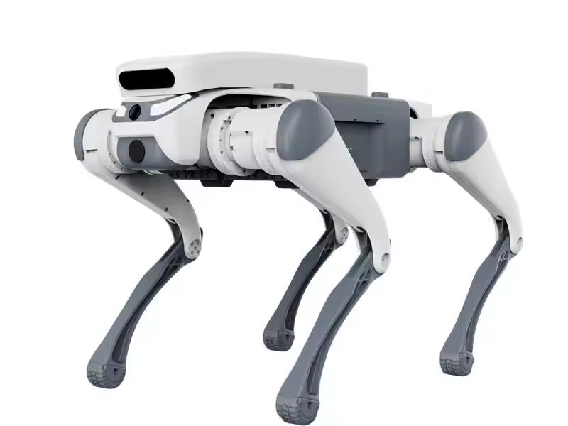 Jouet éducatif télécommandé po - Remote Control Toys avis et prix