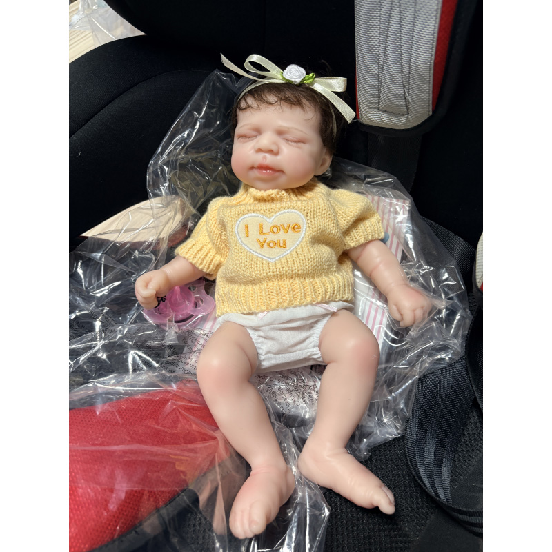 Poupée Reborn Pascale de 12 po - Reborn Baby Doll Silicone Realistic avis et prix